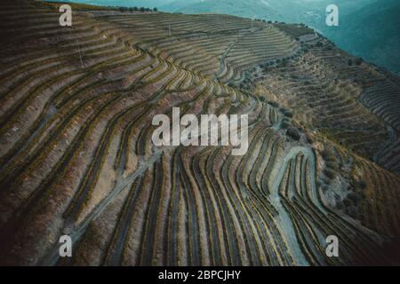 Vignobles Douro depuis la vue aérienne Banque D'Images