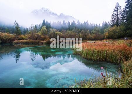 Lac Zelenci en automne dans le parc national de Triglav. Kranjska Gora, Slovénie Banque D'Images