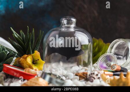 silhouette de poisson sous pot en verre dans mer polluée concept créatif Banque D'Images