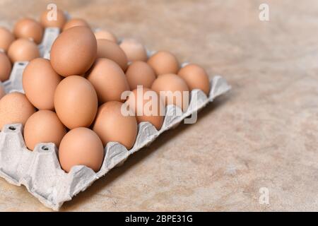 Œuf, œuf de poulet. Vue rapprochée des œufs de poulet brun crus dans la boîte à œufs sur le fond du sol de ciment. Mise au point sélectionnée Banque D'Images