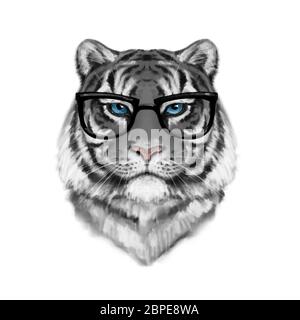 Portrait de tigre sur blanc Banque D'Images