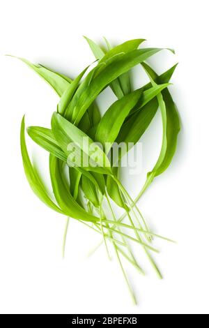 Ramsons frais feuilles. Les feuilles de l'ail sauvage isolé sur fond blanc. Banque D'Images