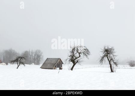 Simple, peu de paysage d'hiver en Slovénie Banque D'Images