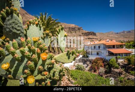 Belle petite ville de Fataga à Gran Canaria, Îles Canaries, Espagne Banque D'Images