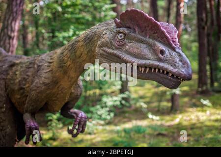 Warszawa, Pologne - Août 2017 : la vie des dinosaures Allosaurus dimensions statue dans une forêt Banque D'Images