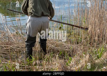 Homme avec des bottes en caoutchouc scything roshes au sol près du lac. Homme coupant des buscades avec de vieux scythe dehors un jour ensoleillé Banque D'Images