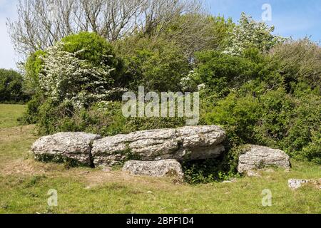 Tombe de la chambre de sépulture Coed y-Glyn avec capston dans un champ. Tyn-y-Gongl, Benllech, Île d'Anglesey, pays de Galles du Nord, Royaume-Uni, Grande-Bretagne Banque D'Images