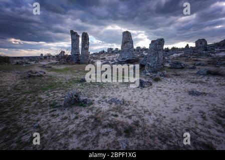 Phénomène formations rocheuses en Bulgarie autour de Varna - Pobiti kamani. Lieu national du tourisme. Pierre verticale. Pilier de la terre en Bulgarie Banque D'Images