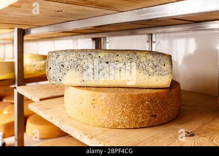 La moitié de la roue de fromage avec du carbone sur les étagères Banque D'Images