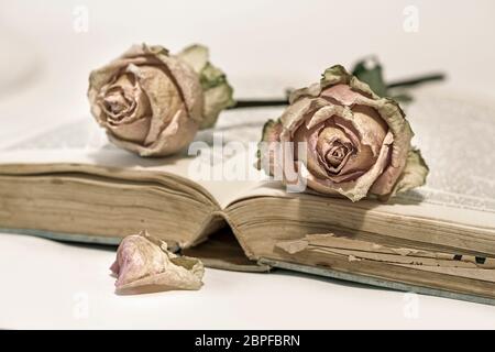 Deux roses séchées sur un vieux livre Banque D'Images