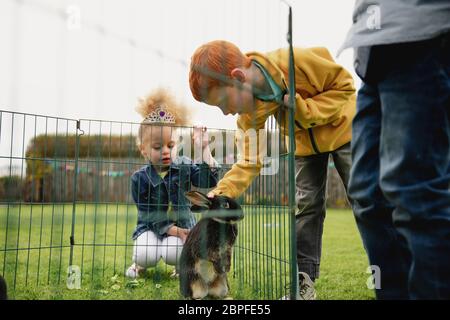 Low angle view of a young boy leaning over une cage lapins clôture pour le caresser. Il y a une petite fille à genoux par la cage pour voir le lapin. Banque D'Images