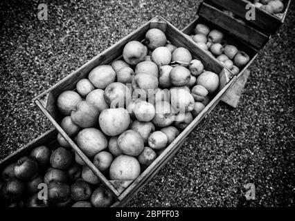 Les pommes dans des boîtes en bois, détail de fruits frais, de l'alimentation et la santé Banque D'Images