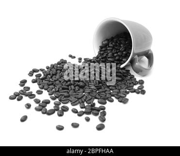 Les grains de café torréfié aromatiques de verser une tasse sur fond blanc - traitement monochrome Banque D'Images