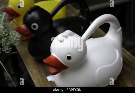 Canards en caoutchouc colorés dans un magasin d'artisanat, objets amusants Banque D'Images