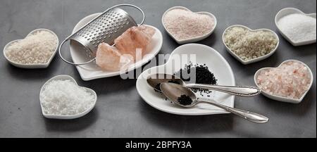 Bannière de Panorama une variété de sels culinaires mondiales y compris sel de Hawaï, sel de l'Indus, la Fleur de sel, Flor da Sal, sel, Geurande rock salt un Banque D'Images