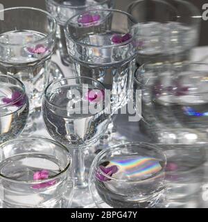 Vue de dessus de verres transparents et de lunettes de vin avec de l'eau et de petites fleurs violettes à l'intérieur, mise au point sélective. Lumière du soleil. Banque D'Images