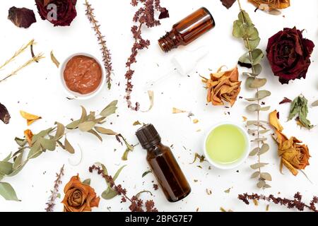 Botaniques aromatiques cosmétiques. Fleurs d'herbes séchées, mélange de boue pour le visage masque d'argile, les huiles, l'application pinceau. Beauté de la peau à base de plantes holistique hack Banque D'Images