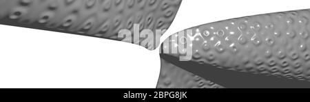 Image ultra-large en 3D MONOCHROME GRIS image d'arrière-plan abstraite incurvée en motifs tachetés simples avec ombre Banque D'Images