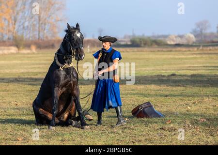 HORTOBAGY, HONGRIE, NOVEMBRE 04. 2018: Csikos hongrois en costume traditionnel folklorique montrant son cheval entraîné. Cheval-homme traditionnel de Hung Banque D'Images