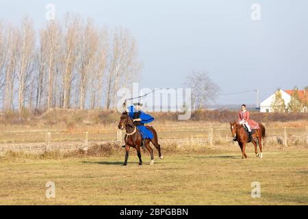 HORTOBAGY, HONGRIE, NOVEMBRE 04. 2018: Csikos hongrois en costume traditionnel folklorique montrant son cheval entraîné. Cheval-homme traditionnel de Hung Banque D'Images