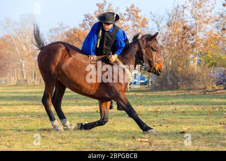 HORTOBAGY, HONGRIE, NOVEMBRE 04. 2018: Csikos hongrois en costume traditionnel folklorique montrant son cheval entraîné. Cheval-homme traditionnel de Hung Banque D'Images