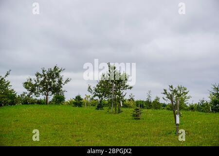 Jardin de Destin est un ensemble architectural monumental sur l'île de Koknese Daugava. Dans le jardin Koknese. Banque D'Images