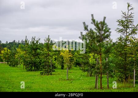 Jardin de Destin est un ensemble architectural monumental sur l'île de Koknese Daugava. Dans le Jardin Jardin parc Koknese de destins en Lettonie. Banque D'Images