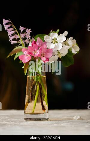 Bouquet pittoresque coloré de fleurs printanières dans un vase sur fond sombre Banque D'Images