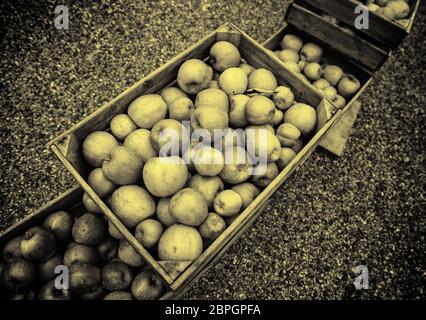 Les pommes dans des boîtes en bois, détail de fruits frais, de l'alimentation et la santé Banque D'Images