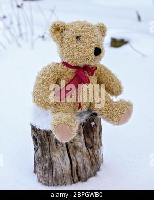 L'enfant brun ours en peluche assis sur une souche au milieu de la neige blanche Banque D'Images