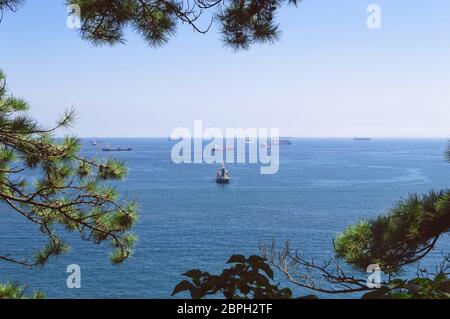 vue depuis le parc avec des branches d'épinettes comme frontière sur une vaste mer avec des navires amarrés Banque D'Images