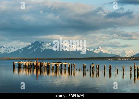 Cormorans se faisant perçant sur les vieux piliers de la jetée en ruines à Puerto Natales, Patagonie, Chili, avec Torres del Paine au loin Banque D'Images