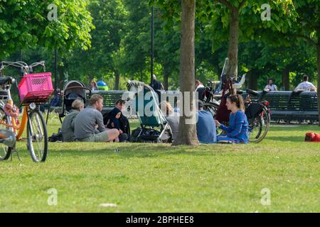 À beaucoup de gens ensemble au Frankendaelpark à Amsterdam pays-Bas 2020 Banque D'Images