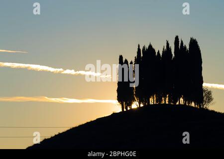 Hills panorama au coucher du soleil. cyprès sur la colline parlementaire. Paysage minimal Banque D'Images