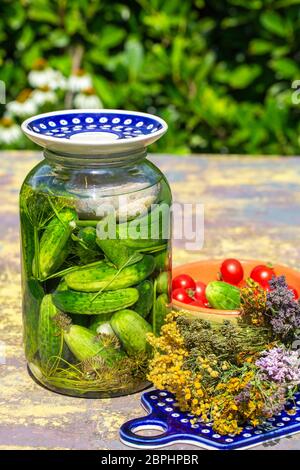 Concombres marinés aux herbes et épices dans un bocal en verre accompagné de tomates fraîches et d'herbes sur une table en acier. Banque D'Images