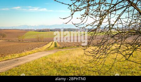 Vue d'un champ dans la campagne près de la montagne vosgienne et de la ville de Morschwiller le bas en France Banque D'Images