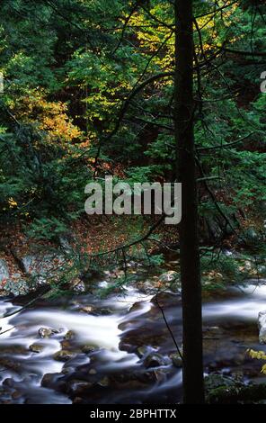 Middlebury River, Green Mountain National Forest, Vermont Banque D'Images