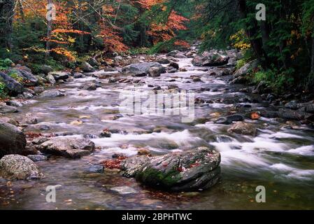 Middlebury River, Green Mountain National Forest, Vermont Banque D'Images