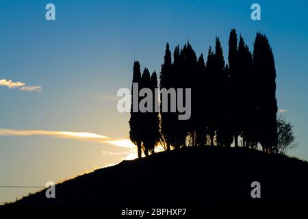 Hills panorama au coucher du soleil. cyprès sur la colline parlementaire. Paysage minimal Banque D'Images