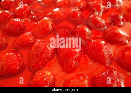 Gâteau aux fraises, gros plan sur la garniture de fraises en gelée, vue détaillée d'un délicieux gâteau frais maison avec de nombreuses fraises rouges Banque D'Images