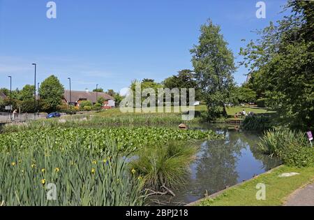 L'étang de canards et le vieux village vert à Sanderstead, Surrey, un village riche du sud du Croydon, Royaume-Uni. À l'angle de Limpsfield Road et Addington Road Banque D'Images