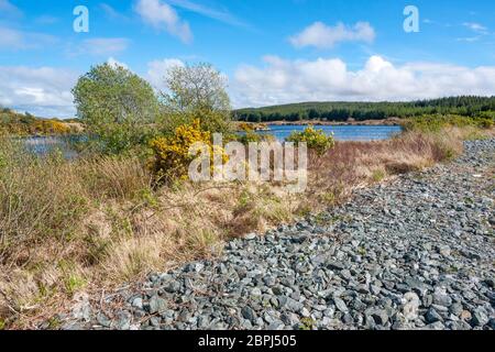 Vue magnifique au bord de l'eau autour dans le Connemara, un district en Irlande Banque D'Images