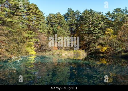 Goshiki-numa 5 couleurs étang en automne, Urabandai, Fukushima, Japon Banque D'Images