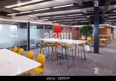 Intérieur de bureau britannique contemporain avec mobilier de couleur primaire. Bureau du Royaume-Uni, Londres, Royaume-Uni. Architecte: IOR, 2019. Banque D'Images