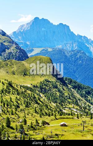 Forêt verte du col Giau à la lumière du jour. Italie Banque D'Images