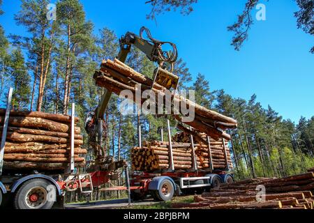 Grue en forêt chargement des grumes dans le camion. L'exploitation du bois et des transports en forêt. Transport de l'industrie d'exploitation forestière et de l'industrie forestière. Banque D'Images