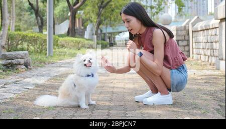 Femme jouer avec son chien à l'extérieur Banque D'Images