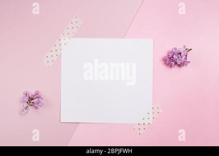 Carte vide sur fond rose avec petites fleurs lilas Banque D'Images