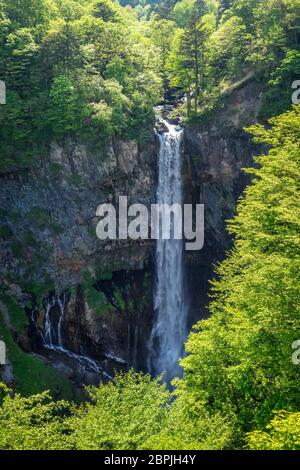 Chutes Kegon paysage près du lac Chuzenji, Nikko, Japon Banque D'Images