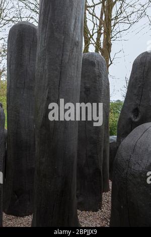 'Black Mound' de David Nash, RA.: Puissante collection de formes de chêne charré dans un caucus sculpté, Tremenheere Sculpture Garden, Penzance, Cornwall, Royaume-Uni Banque D'Images